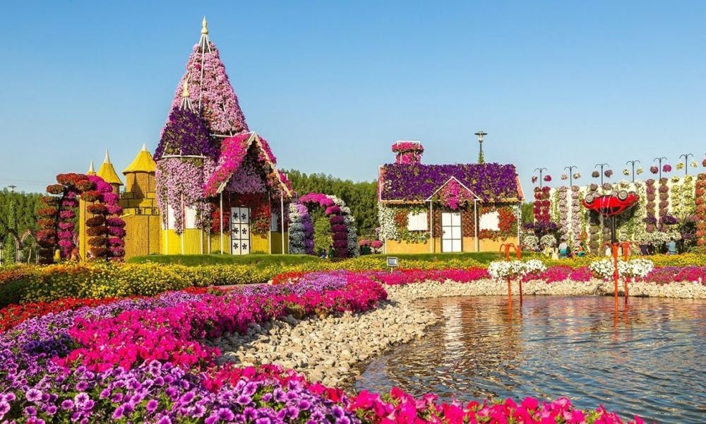 Miracle Garden Dubai Timings , Tickets Price Entry Fee JTR Holidays